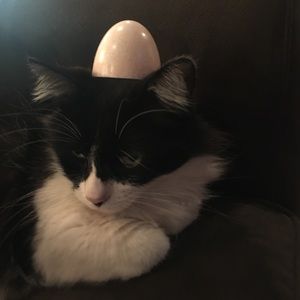 Meet your Posher, Bobby